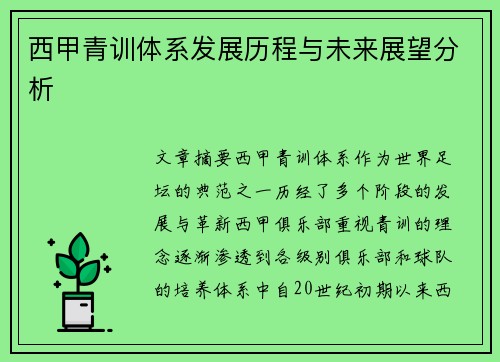 西甲青训体系发展历程与未来展望分析