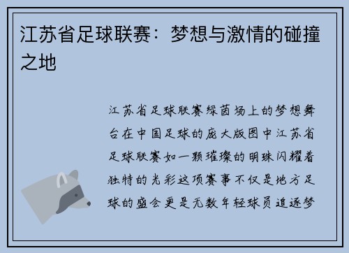 江苏省足球联赛：梦想与激情的碰撞之地