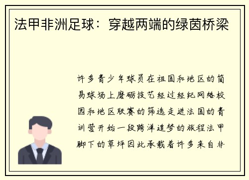 法甲非洲足球：穿越两端的绿茵桥梁
