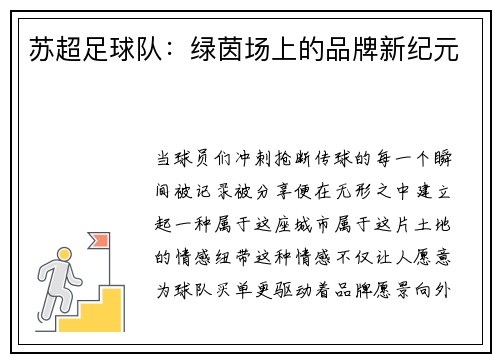 苏超足球队：绿茵场上的品牌新纪元